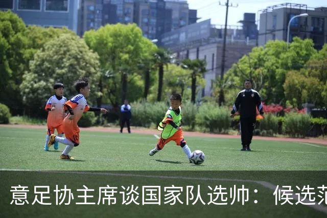 意足协主席谈国家队选帅：候选范围并不局限于曼奇尼和皮尔洛