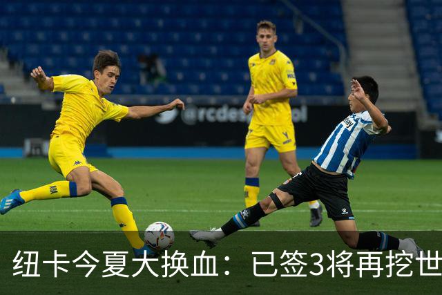 纽卡今夏大换血：已签3将再挖世界杯国脚，托纳利替身浮现